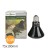 adef1da49202c2ac0673ce01c752724e