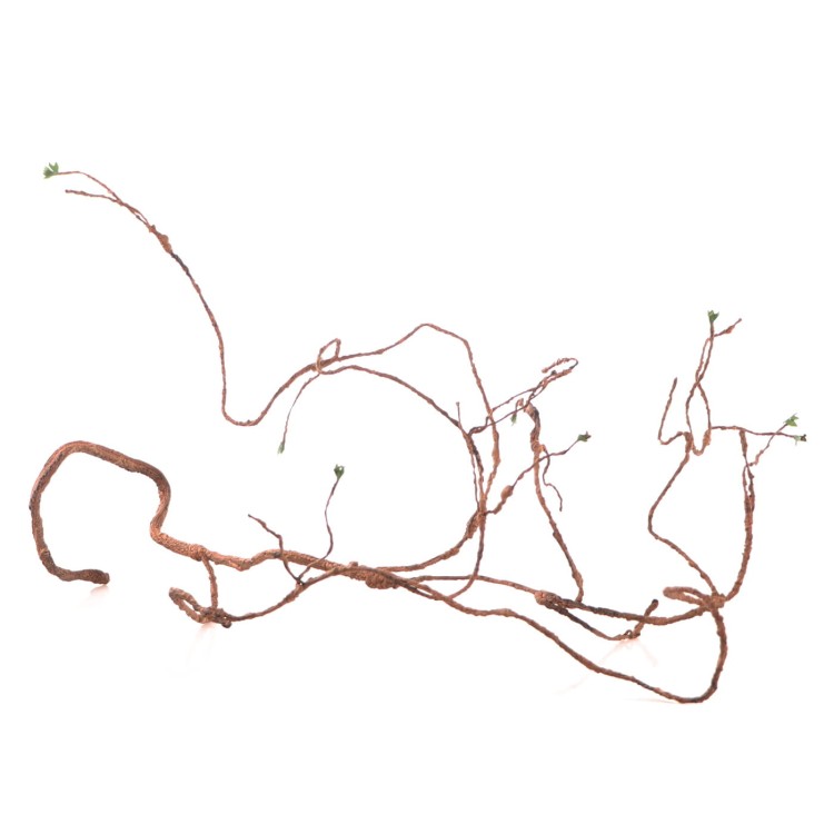 ab51e145ec677cb51e4c36e526000743