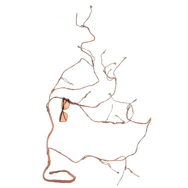 7a039d6a62e6c0d93d99421c28e256db