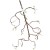 ad8be938ac886b4ab22a73f29a3c4979