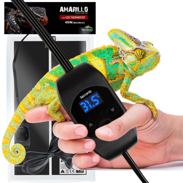 adffe87d5e220e0894d3023bf0472a71