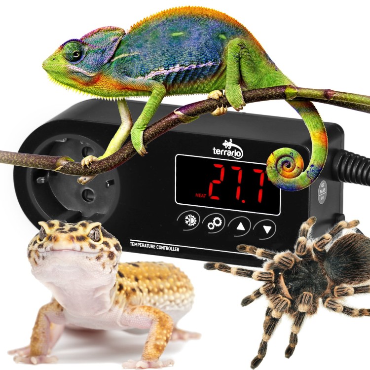 52fbea91f866513492f26967ff3674f0
