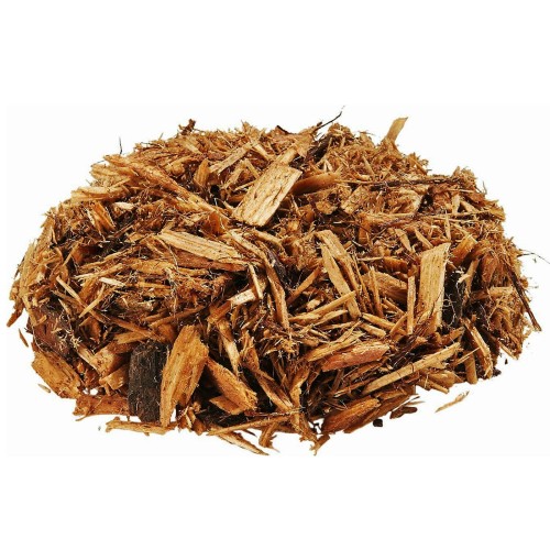 03ef52809448bb347b2070d6fe6f9448