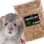 7e06fda7cf425eee91f7fd4d152e8036
