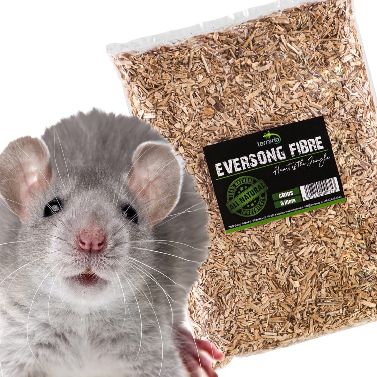7e06fda7cf425eee91f7fd4d152e8036