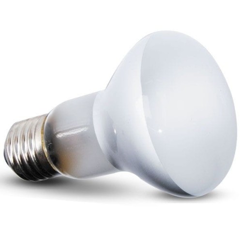 cbd4fc45accb2ec784eca3a7c327ca78